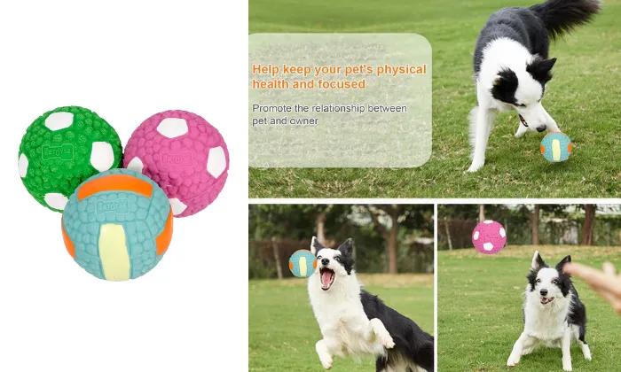 3 Piece Pet Ball