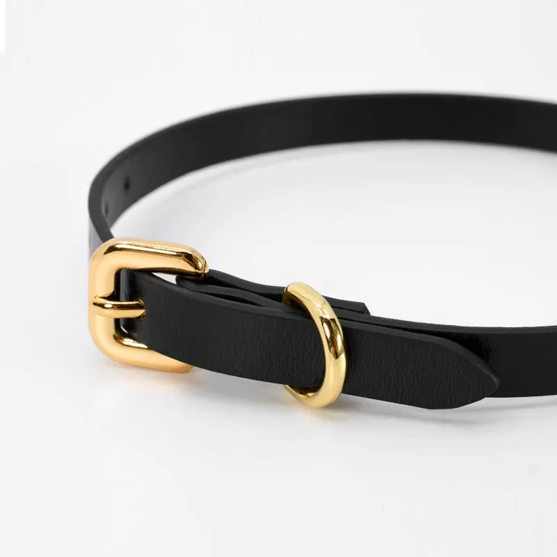 Black and Gold Contrast Faux Leather Collar and Leash