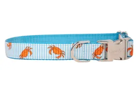 Cooked Crabs Dog Collar