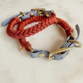 dog collar - modern beauty - paracord