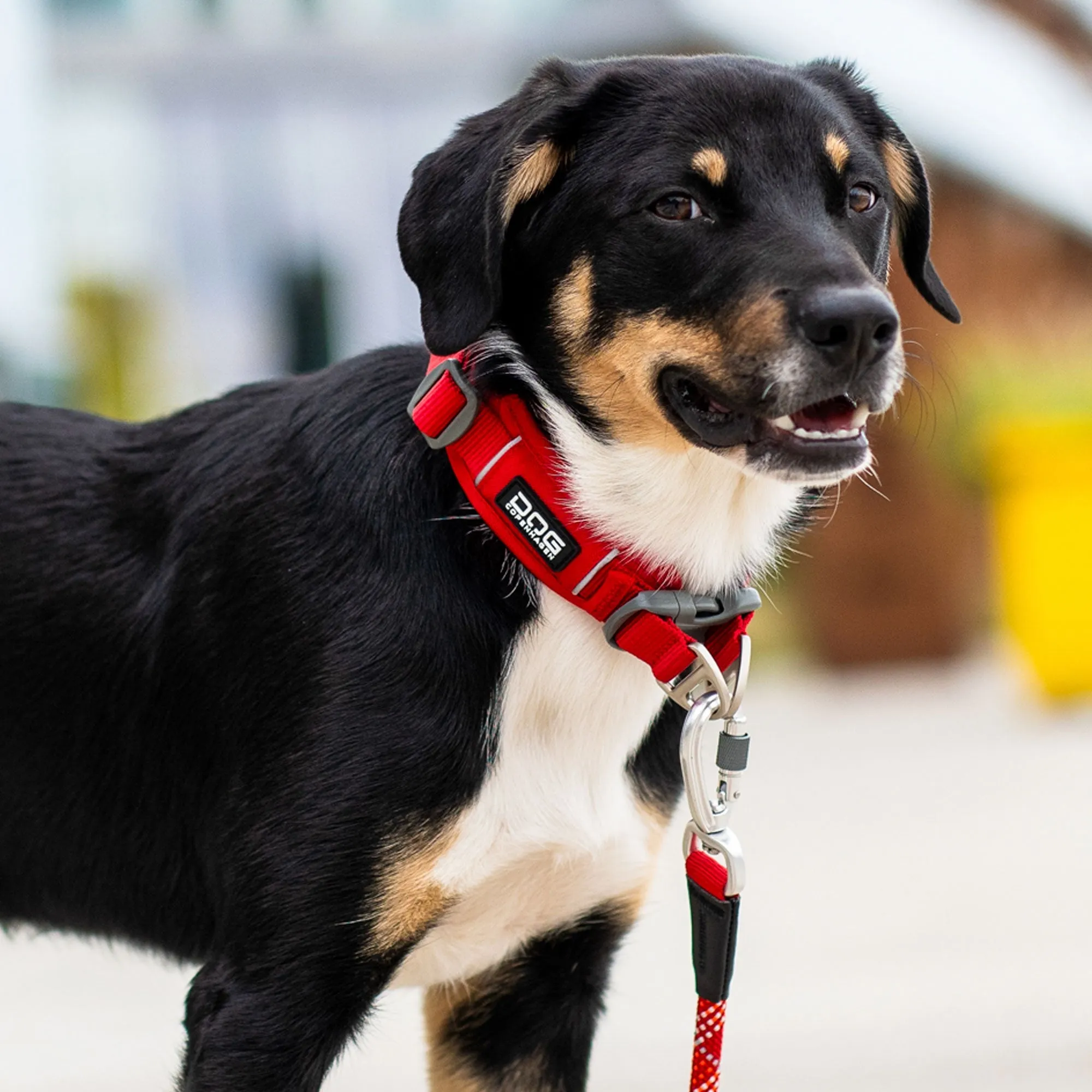 DOG Copenhagen - Urban Explorer Collar