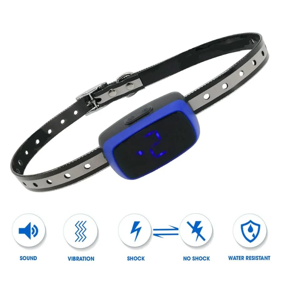 Dog Training Collar Shock or No Shock color BLUE