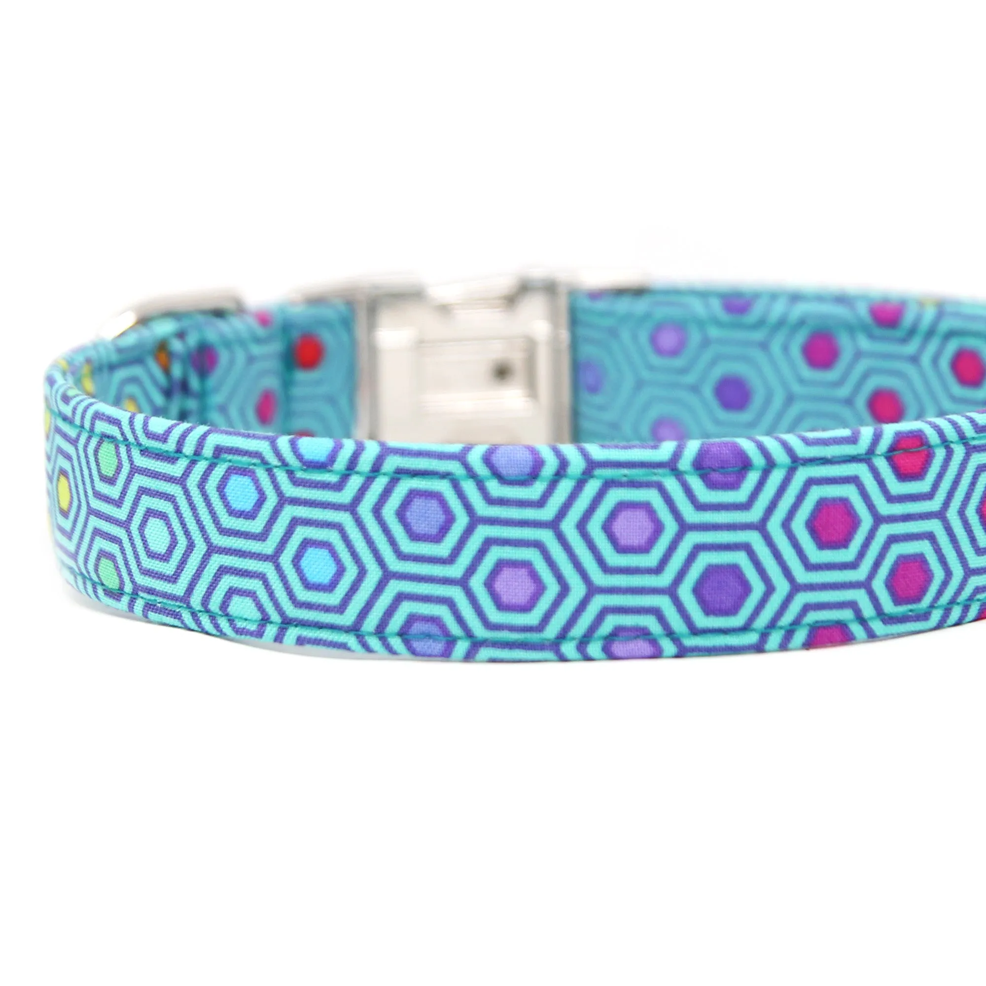 Dot Dog Collar | Molecule Much