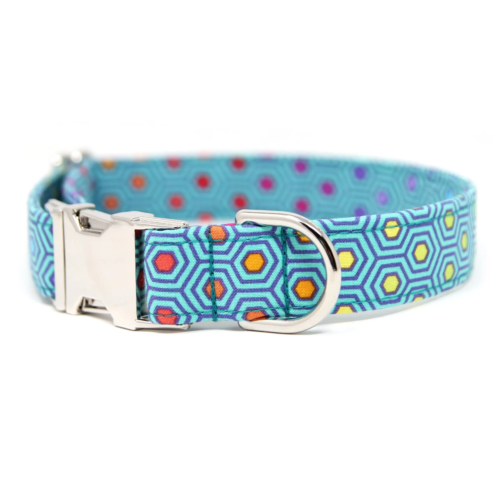 Dot Dog Collar | Molecule Much