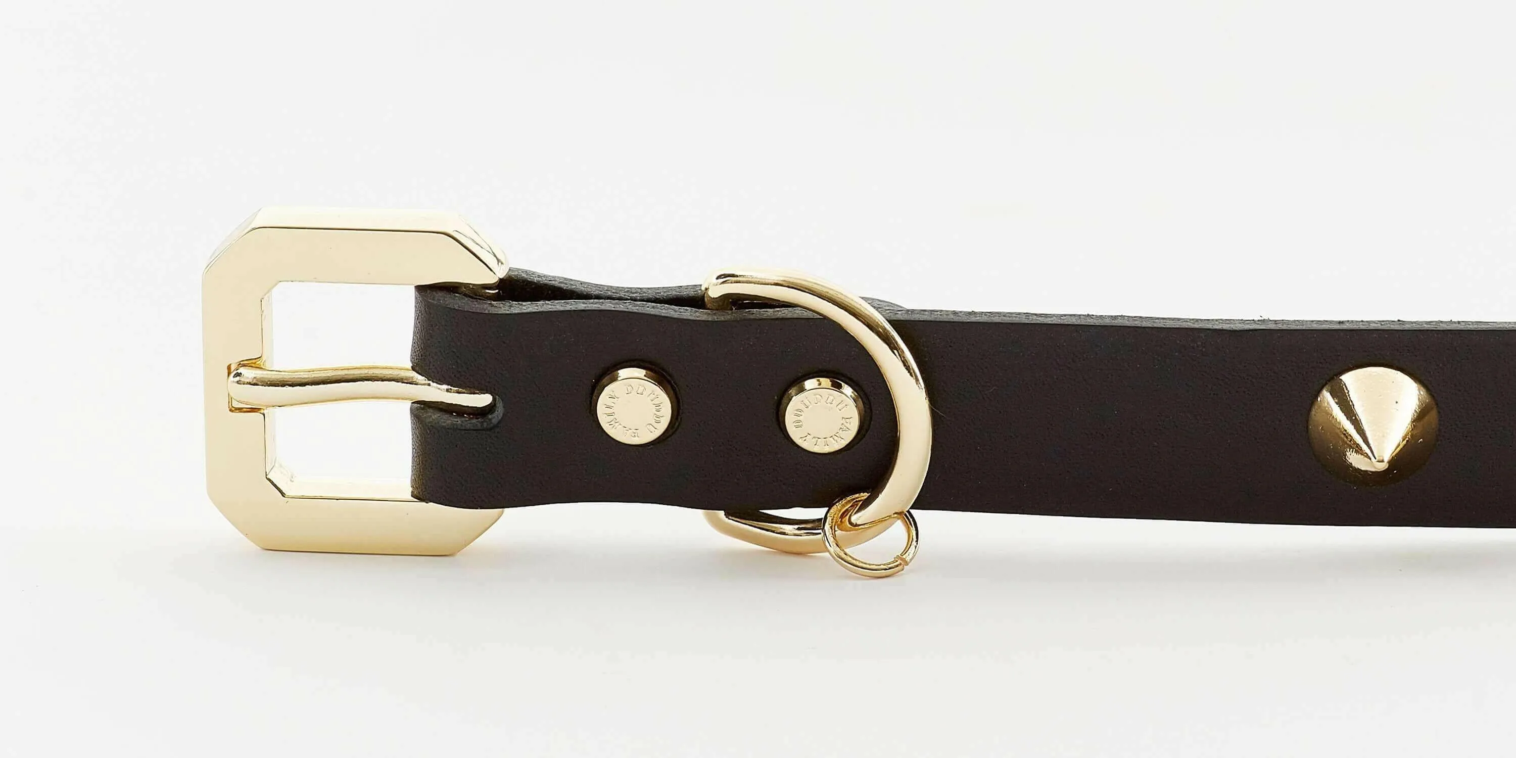 Golden Spike Black Collar