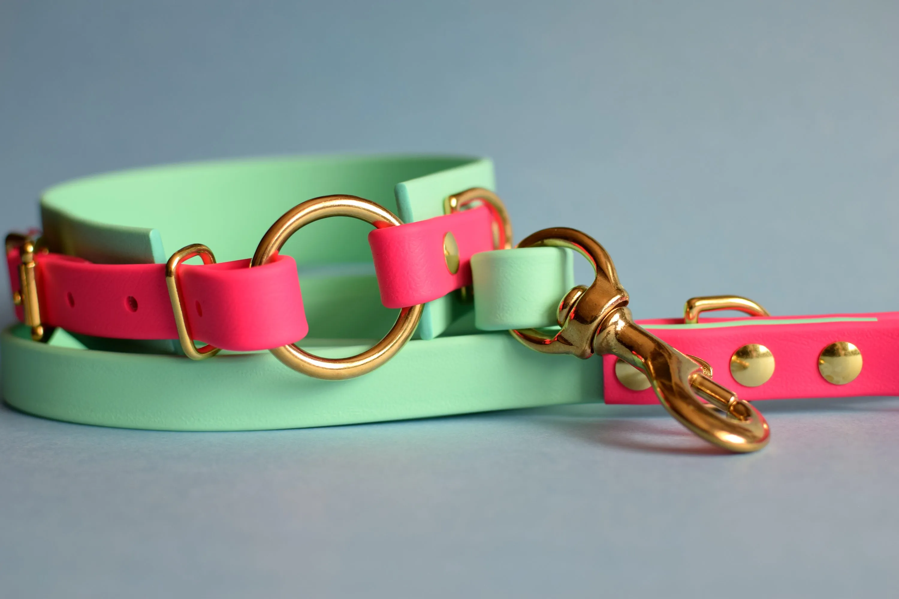 PREMADE COLLECTION - Seafoam & Fuchsia with Brass, Osgiliath Biothane Dog Collar