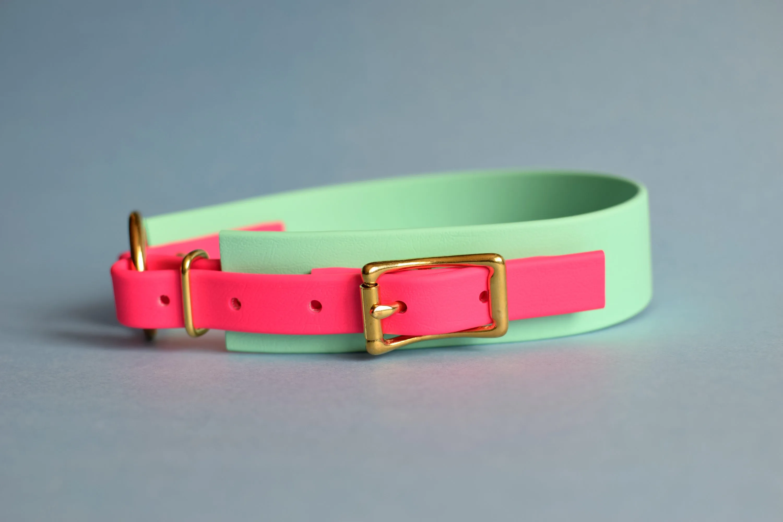 PREMADE COLLECTION - Seafoam & Fuchsia with Brass, Osgiliath Biothane Dog Collar