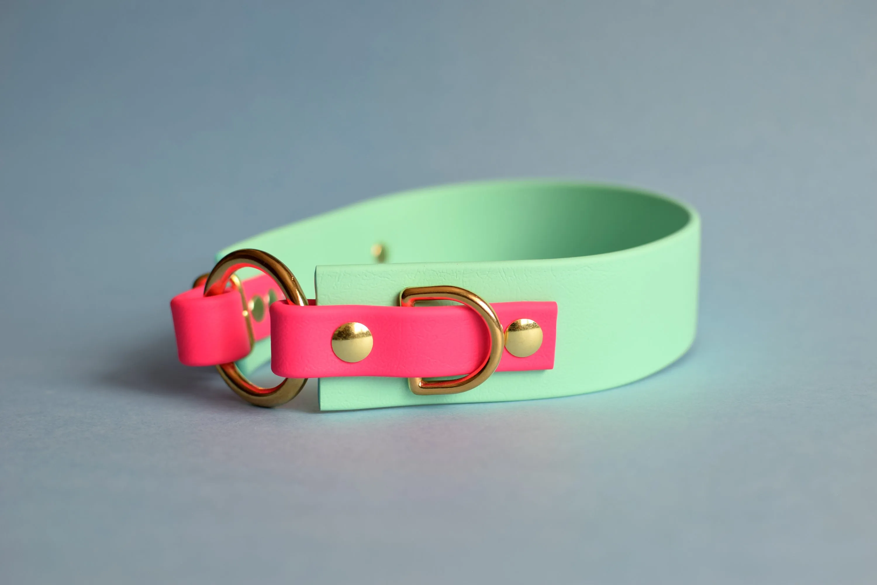 PREMADE COLLECTION - Seafoam & Fuchsia with Brass, Osgiliath Biothane Dog Collar