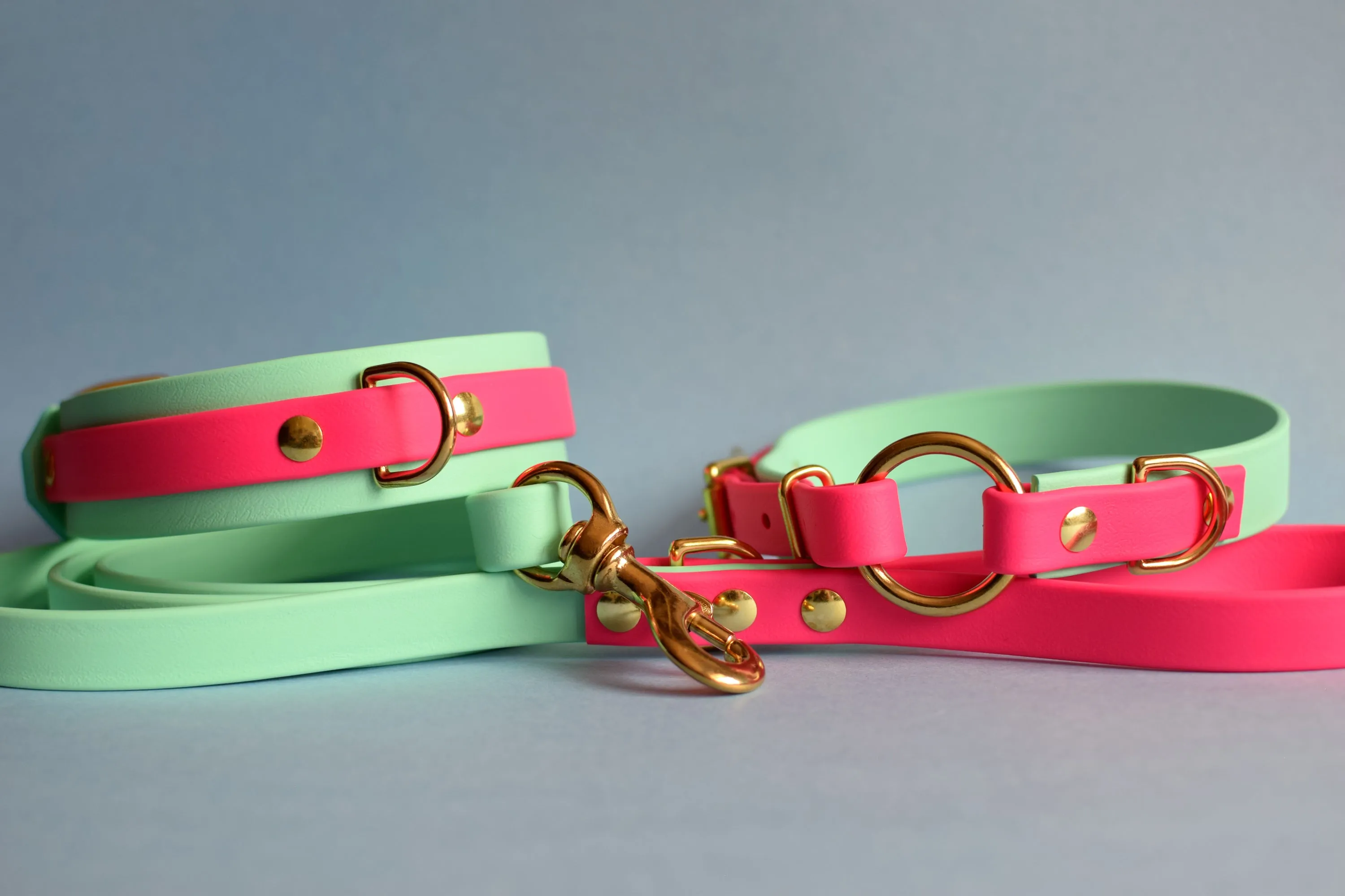 PREMADE COLLECTION - Seafoam & Fuchsia with Brass, Osgiliath Biothane Dog Collar