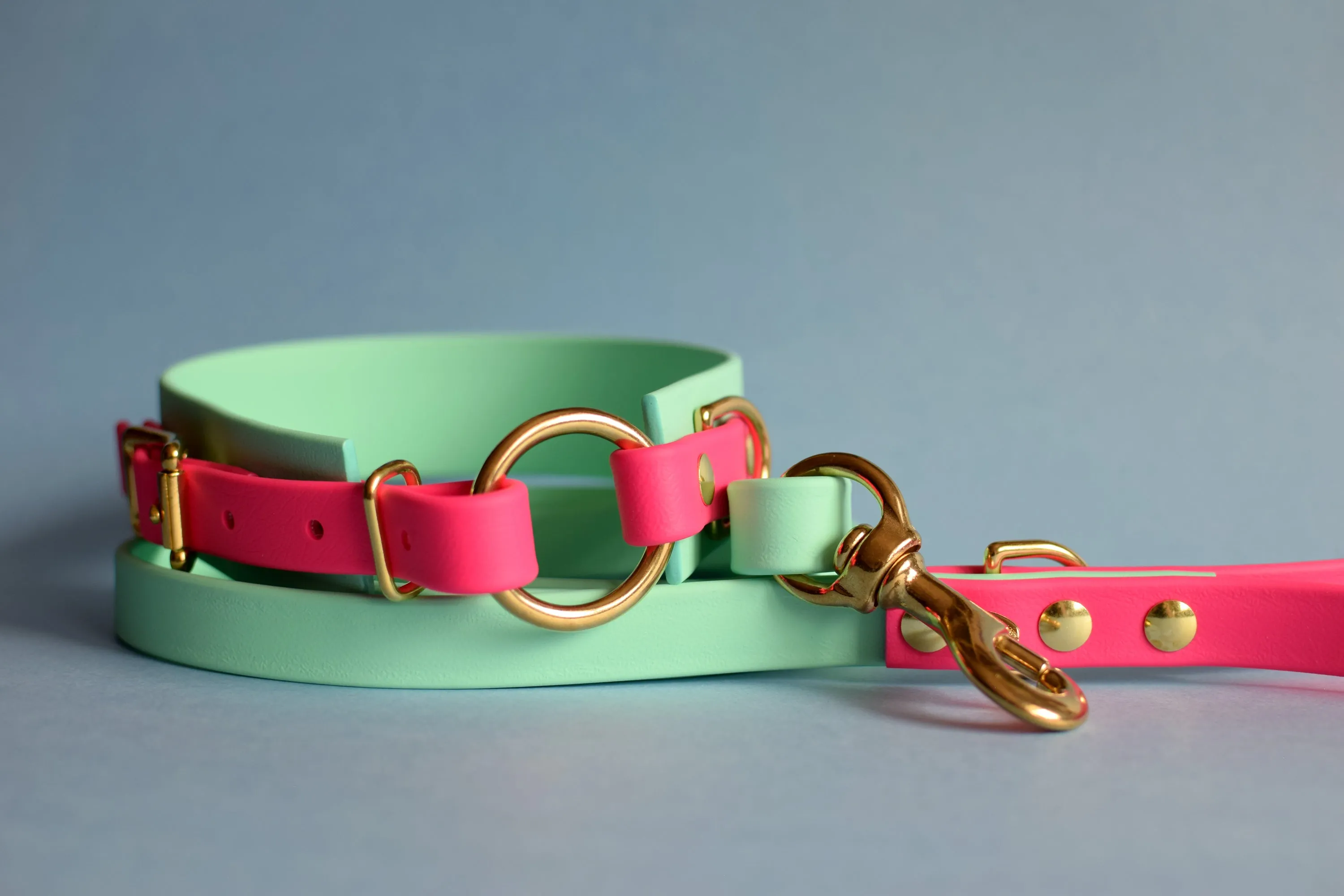 PREMADE COLLECTION - Seafoam & Fuchsia with Brass, Osgiliath Biothane Dog Collar