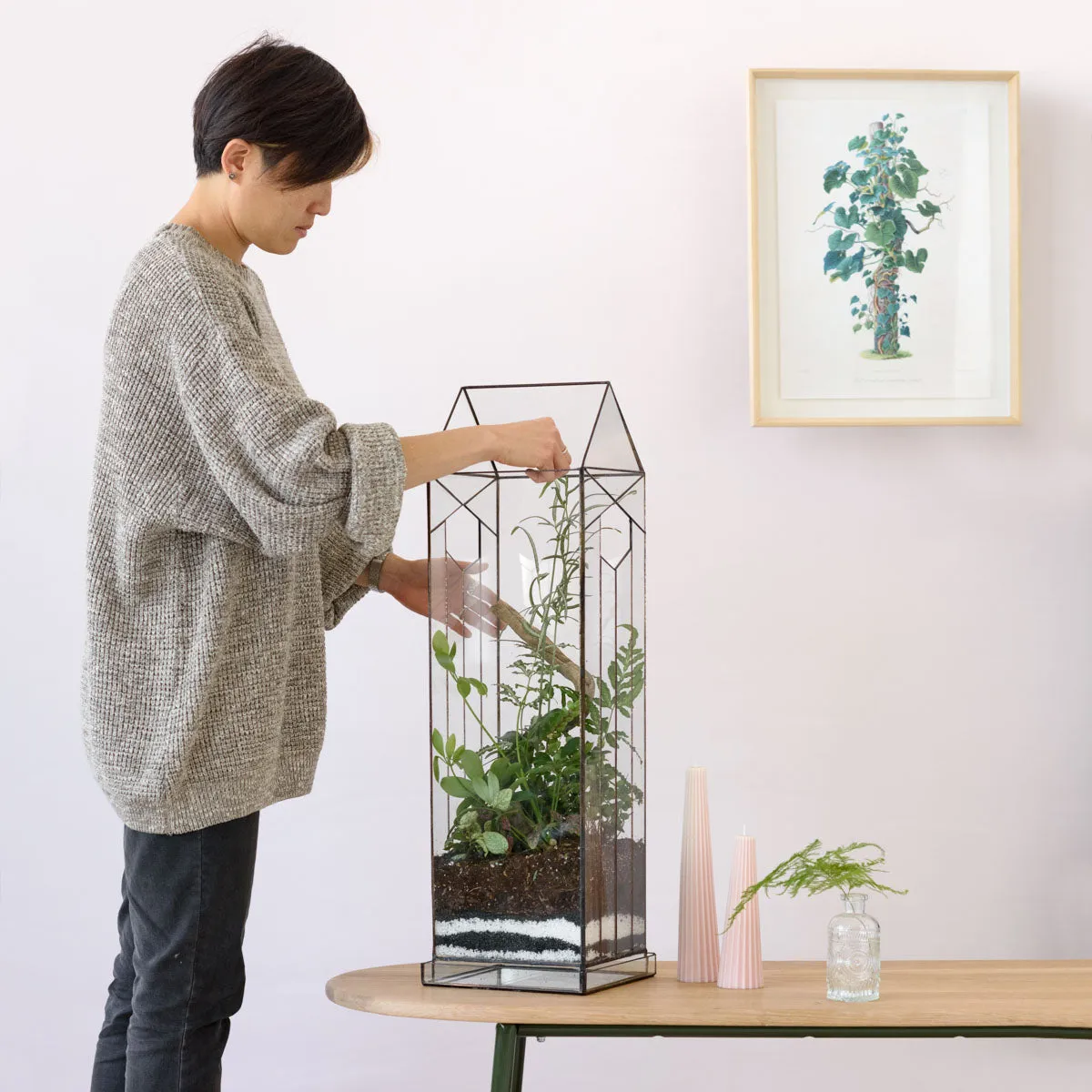 Terrarium - Deco Orchid House