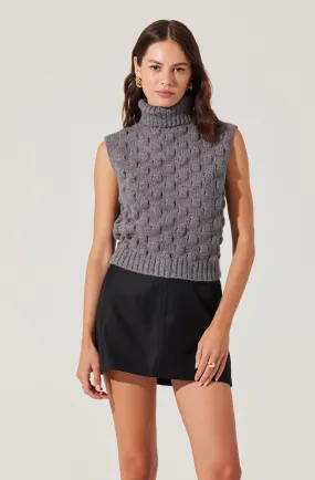 Textured Turtleneck Sweater Vest