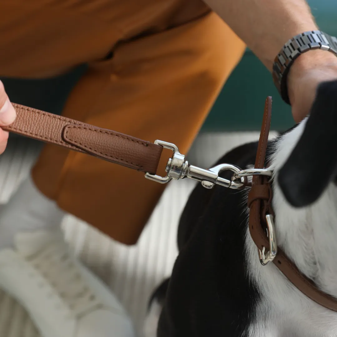 Tuscan Collar - Chestnut