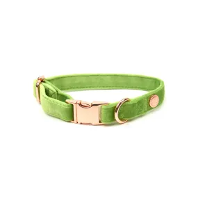 Velvet Collar // Granny Smith Green