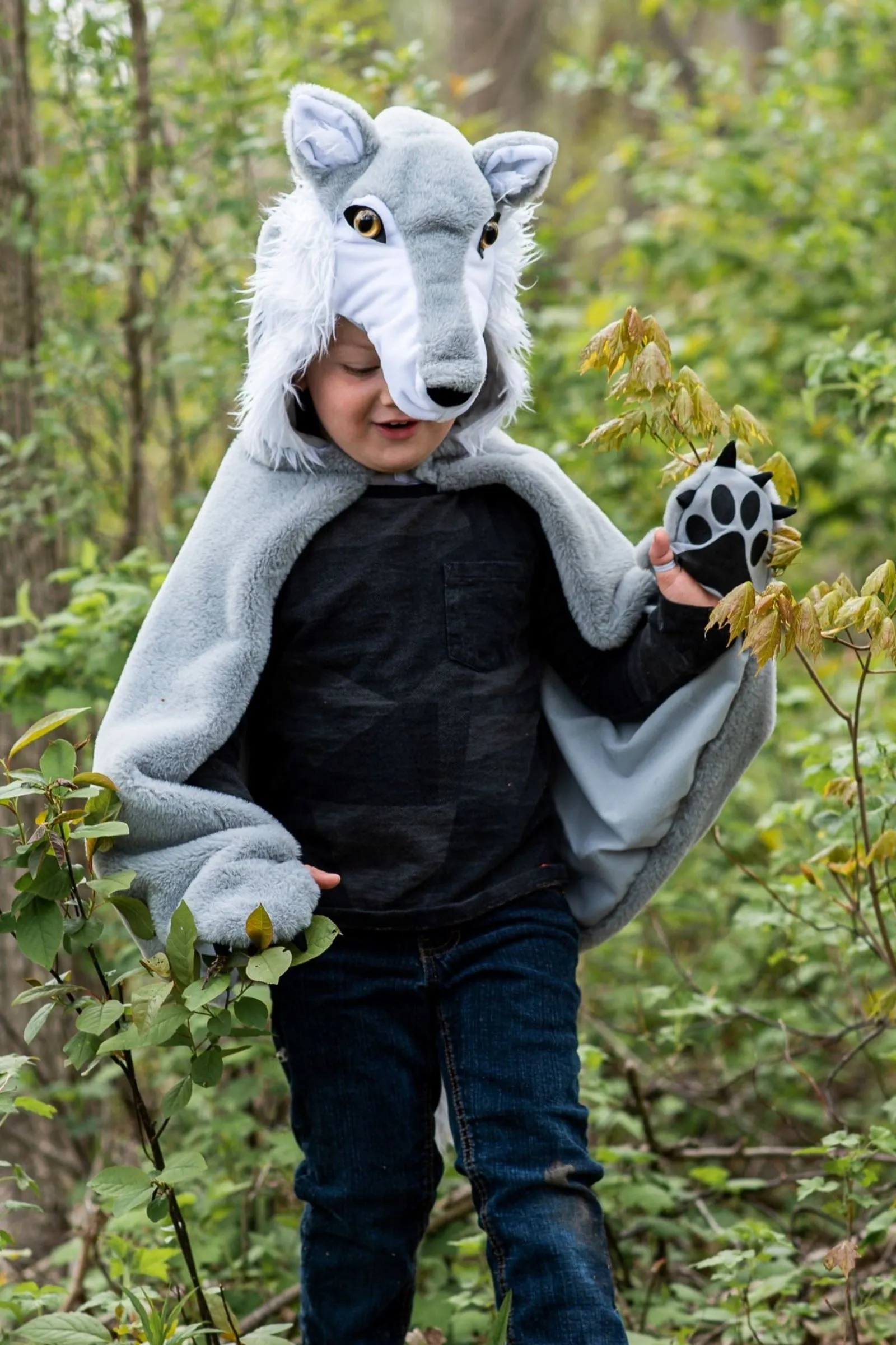 Woodland Storybook Wolf Cape